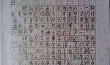 飘落的美丽_700字