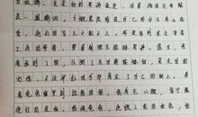 不翼而飞的作文_550字