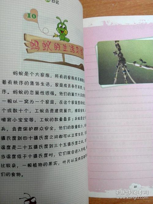 我给antscript日记_800字