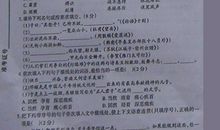 2011岳阳中考语文试题