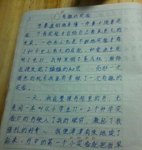 我爱我的家_100字