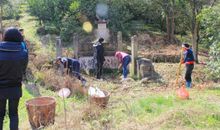 清明，我给爷爷奶奶扫墓_650字