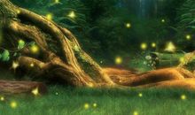 萤火虫的旋律_150字