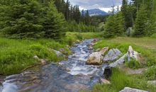 大自然的演奏_250字