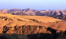 谁能告诉我哪来的那条河_650字