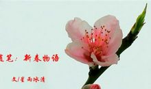 [春节随笔] 新春佳节_2000字