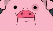 我是一只小猪_350字