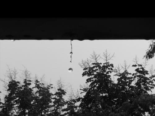 一个人，走在雨中...... _450字