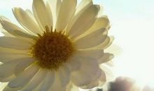 我的英文名字叫保罗_200字