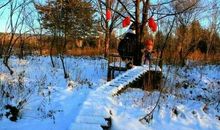 “美”是什么？_700字