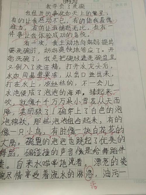 我学会了洗碗_500字