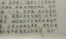 我学会了洗碗_500字