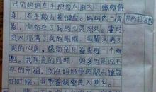 关于感动的作文：这件事感动了我_550字