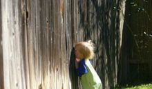 无忧的童年_550字