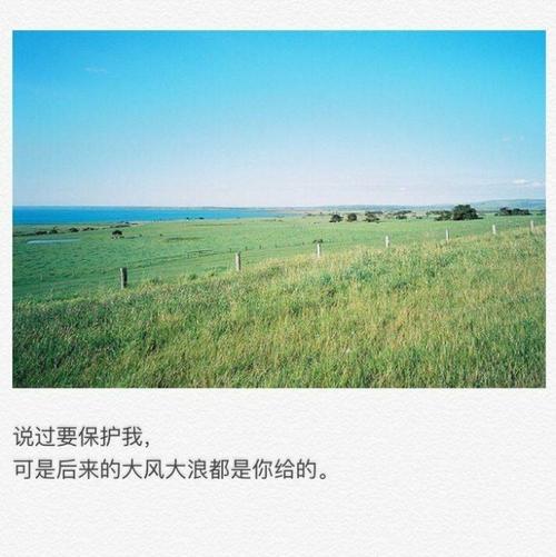 我必须保护花和木头的小卫兵_300字