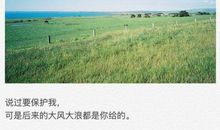 我要做保护花木的小卫士_300字