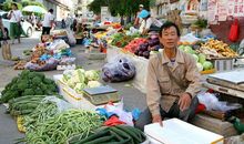 逛早市去啦_250字