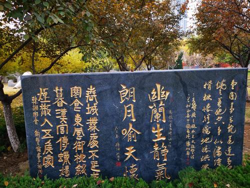 夜间游览书法正方形_250字