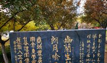 夜游书法广场_250字