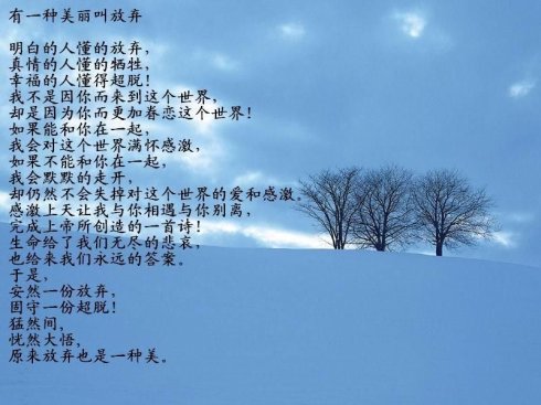放弃也是美丽_500字