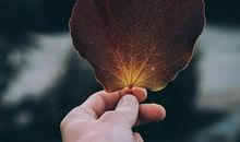 当岁月的沙滑过掌隙_750字