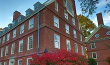 我的校园好友（一）初来校园_400字