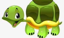 我爱胆小的乌龟_250字