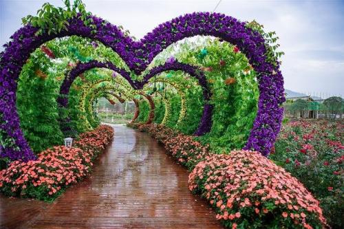 生活花海_150字