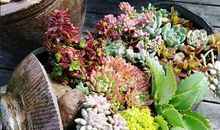 感动是一种养分2_800字