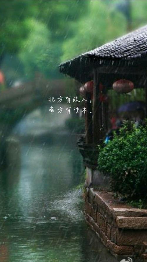 复杂的真心_550字