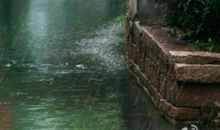 复杂的真心_550字