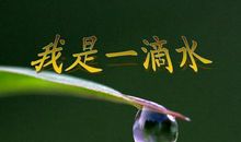 我是一滴水_1000字