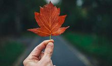 如果来生：我愿见证这世间的所以爱情 【人物介绍】_300字