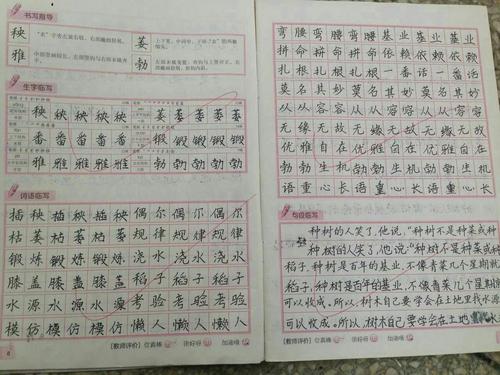 担心志下·入场_400字