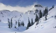 四季歌——冬_2000字