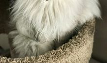 举手投足间都是爱_750字