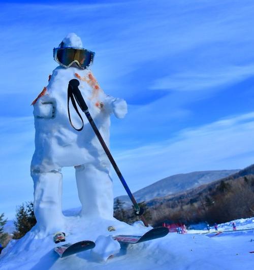 雪蘑菇静静地成长