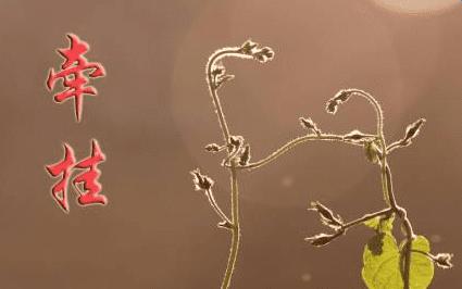 关心