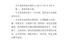 小狗“朵朵”_350字