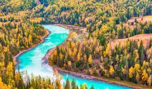 令我心醉的秋天_350字