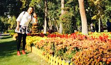 秋天的遐想_200字