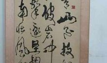 咬定青山不放松_1200字