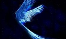 单翼天使的隐形翅膀_1200字