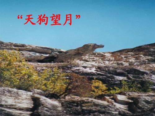 你可以亲自看到它。