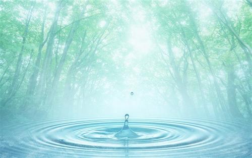 第一个夏天的太阳充满了柔和的_800字