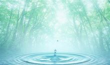 初夏阳光淡显柔_800字