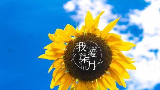 7月_550字