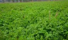 感动是一种养分_1200字