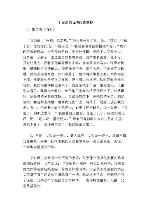 关于父亲的漂亮段落提取_2000字