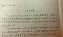 描写父爱的语句_800字